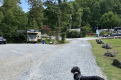 TeaberryHillCampground25